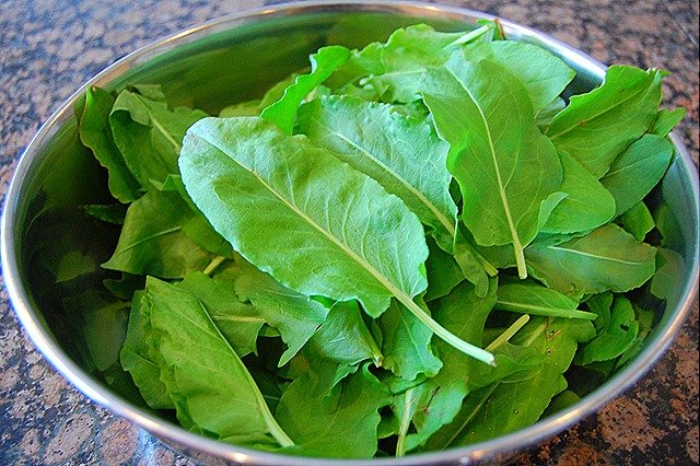 CHUKKA KURA / SPINACH DOCK - Sync with Nature