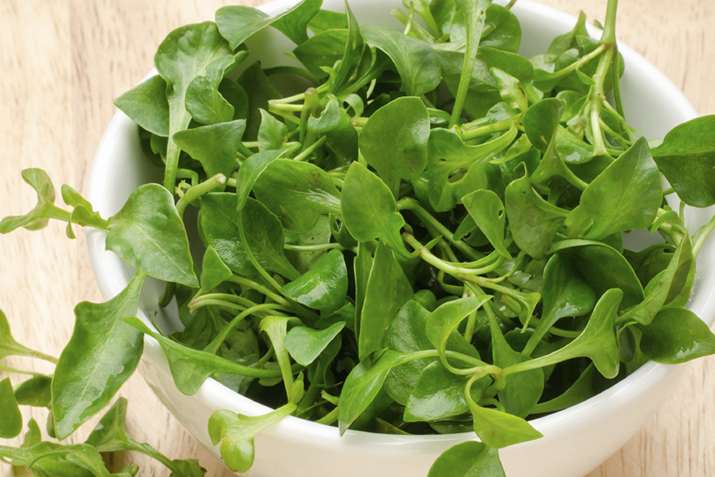 health-benefits-of-watercress-youtube