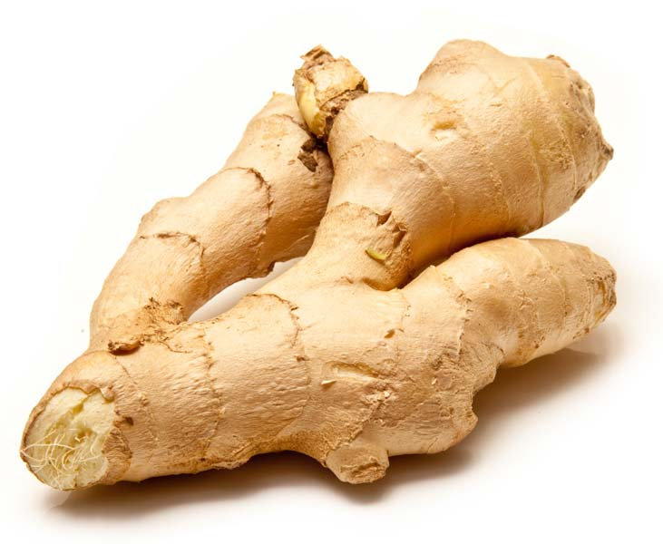 ginger-sync-with-nature