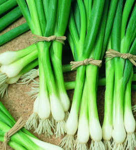 ONION STALKS/ SPRING ONIONS - Sync with Nature