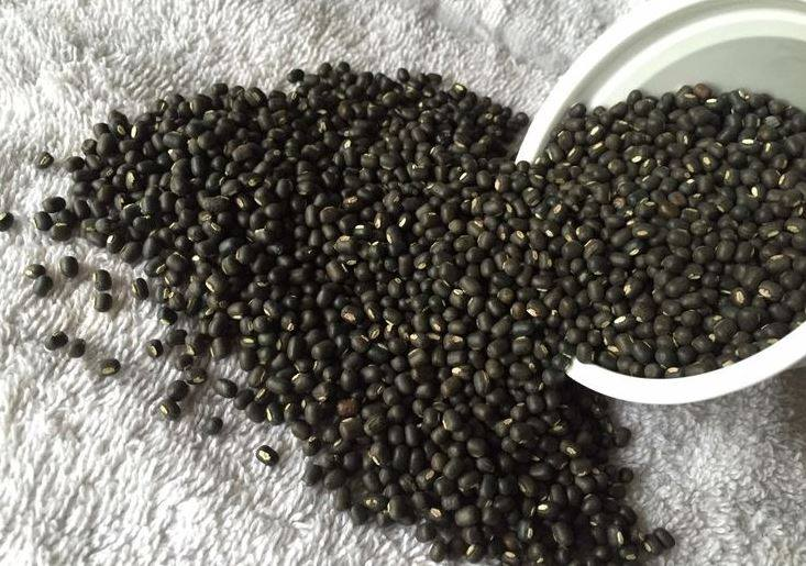 urad-dal-blackgram-sync-with-nature