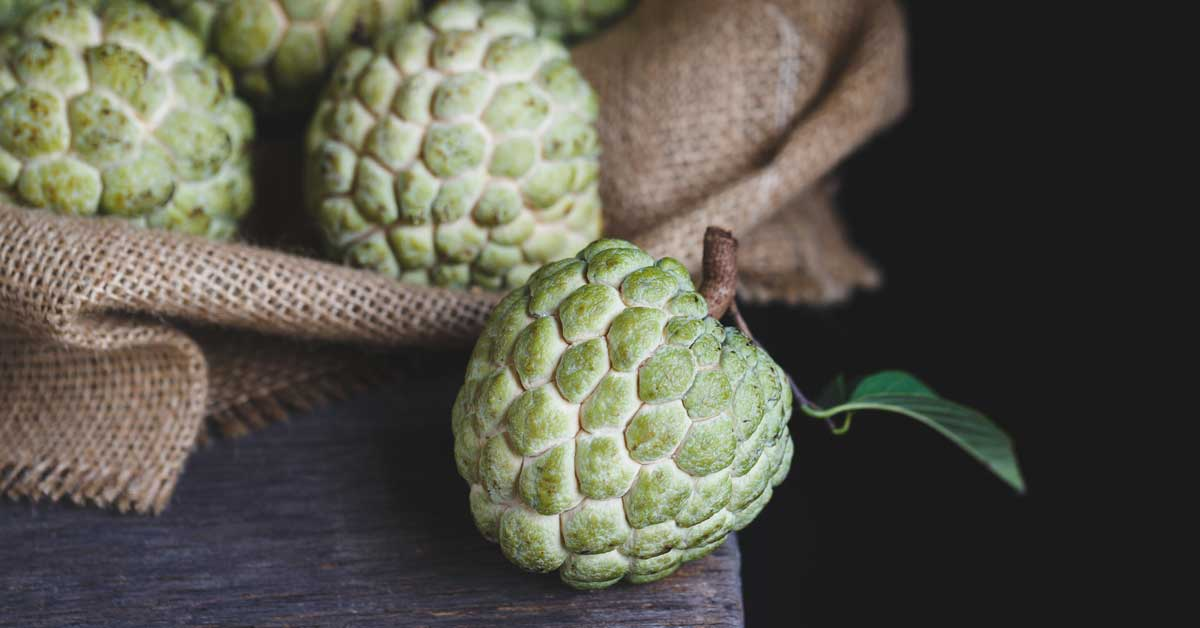 custard-apple-sync-with-nature