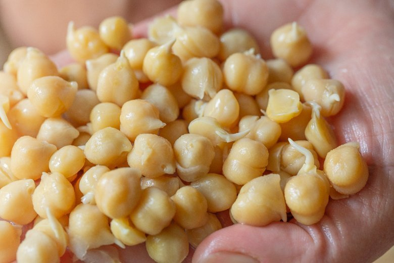 GARBANZO BEANS/ CHICKPEAS Sync with Nature