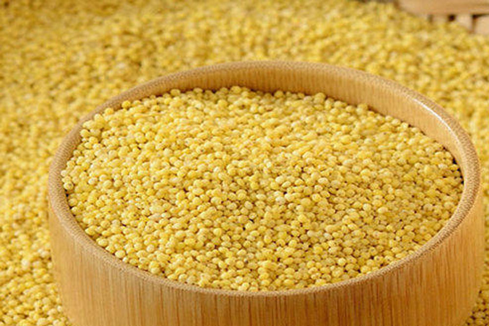 Foxtail Millet 