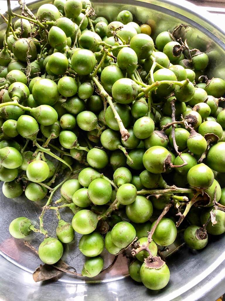 bontha pandu fruit