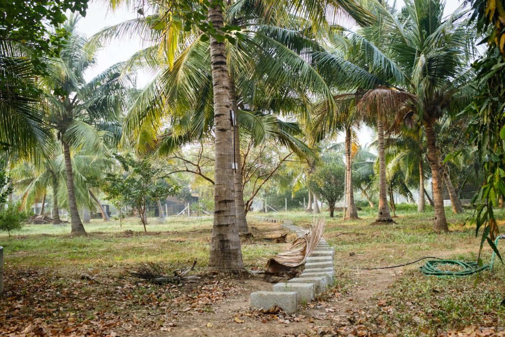 Jacbo and Klooster Farm Chennai